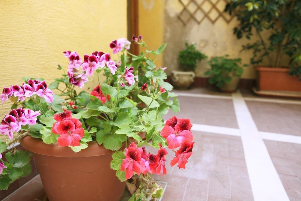 Orfani Apartments Trapani Exterior photo